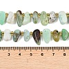 Natural Chrysoprase Beads Strands G-A296-02-5