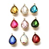 Glass Pendants X1-STAS-K295-03G-1