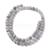 Natural Labradorite Beads Strands G-I261-D02-6mm-2