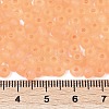 6/0 Luminous Glass Seed Beads X1-SEED-NH0001-01D-5