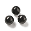 Natural Shungite Sphere Beads G-F675-01-A-1