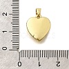 Brass Pendants KK-V007-011G-03-3