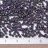 MIYUKI Round Rocailles Beads X-SEED-G007-RR2019-4
