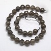 Natural Black Moonstone Beads Strands G-J157-10mm-05-2