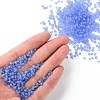 8/0 Glass Seed Beads SEED-A008-3mm-M6-4