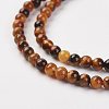 Natural Tiger Eye Bead Strand X-G-G680-48-3