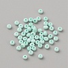 Opaque Glass Seed Beads SEED-CJC0001-01B-1