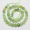 Natural Prehnite Beads Strands G-G457-10mm-03-2