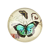 Butterfly Printed Glass Half Round/Dome Cabochons GGLA-N004-18mm-C-2