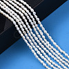 Natural Cultured Freshwater Pearl Beads Strands PEAR-N012-02J-6