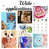 6 Styles Natural Shell Beads Display Ornaments SHEL-PH0001-46-7