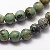 Natural African Turquoise(Jasper) Beads Strands G-N0188-02-3mm-3