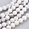 Natural Howlite Beads Strands X-TURQ-G091-10mm-1
