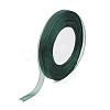 Sheer Organza Ribbon RS25mmY-165-1