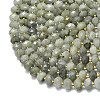Natural Labradorite Beads Strands G-P573-A55-01-3
