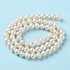 Natural Cultured Freshwater Pearl Beads Strands PEAR-E018-40-3