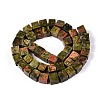 Natural Unakite Beads Strands G-T139-8x8-08A-2