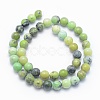 Natural Serpentine Beads Strands G-E489-02A-6mm-2