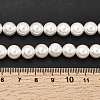 Electroplated Shell Pearl Beads Strands BSHE-K017-8mm-4