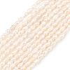 Natural Cultured Freshwater Pearl Beads Strands PEAR-D003-01D-01-2