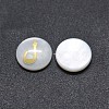 Shell Cabochons SSHEL-E568-A05-1