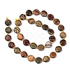 Natural Picasso Jasper/Polychrome Jasper Beads Strands G-C116-A118-01-4