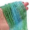 Transparent Painted Glass Beads Strands X1-DGLA-A034-T3mm-A17-2