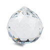 Transparent Glass Pendants GLAA-R223-03D-1
