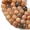 Natural Sunstone Beads Strands G-C268-B05-02-4