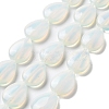 Opalite Beads Strands G-P528-L22-01-1