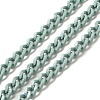 Spray Painted 304 Stainless Steel Curb Chains STAS-B067-05B-01-1
