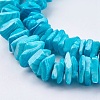 Natural Sea Shell Beads Strands X-BSHE-K012-08C-3