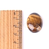 Natural Tiger Eye Cabochons PW-WGEFD9A-01-3