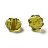 Transparent Acrylic Beads OACR-Q016-02A-2