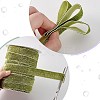 Sparkle Polyester Ribbon OCOR-WH0082-158A-02-4