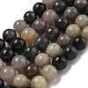 Natural Scorzalite Beads Strands G-B099-C04-06-1
