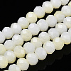 Two-Tone Imitation Jade Glass Beads Strands GLAA-T033-01B-01-1