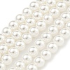 Glass Pearl Beads Strands HY-G002-01B-01-1