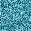 11/0 FGB Grade A Baking Paint Glass Seed Beads X-SEED-N001-A-1016-2