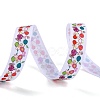 Easter Themed Polyester Grosgrain Ribbons OCOR-A005-01F-2