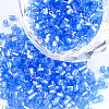 FGB Grade A Glass Seed Beads SEED-S022-05C-1