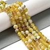 Dyed & Heated Natural Fire Crackle Agate Beads Strands G-P539-B01-06-2