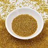 MIYUKI Delica Beads X-SEED-J020-DB2372-2