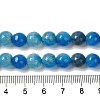 Dyed & Heated Natural Dragon Veins Agate Beads Strands G-P539-A01-17-5