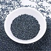 MIYUKI Delica Beads X-SEED-J020-DB0325-3