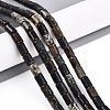 Natural Biotite Beads Strands G-T140-57-1
