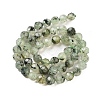 Natural Prehnite Beads Strands G-C150-B02-01-4