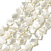 Natural White Shell Beads Strands SHEL-F003-07-1