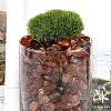 Dyed & Heated Natural Agate Beads X1-G-J402-03A-01-3