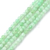 Natural Chrysoprase Beads Strands G-F748-X01-01A-1